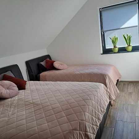 Apartmaji Tisa In Zana Rovte Dış mekan fotoğraf