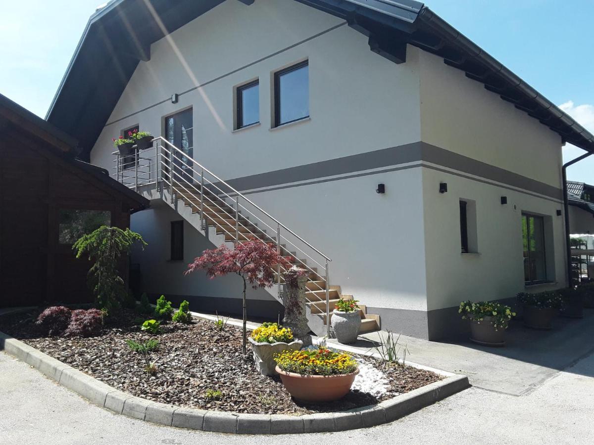Apartmaji Tisa In Zana Rovte Dış mekan fotoğraf