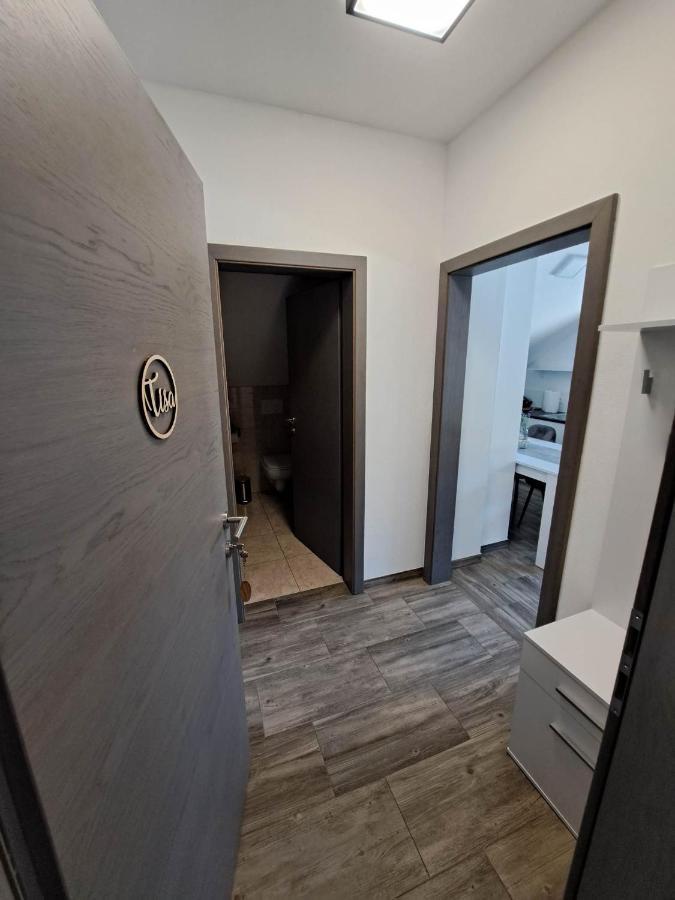 Apartmaji Tisa In Zana Rovte Dış mekan fotoğraf