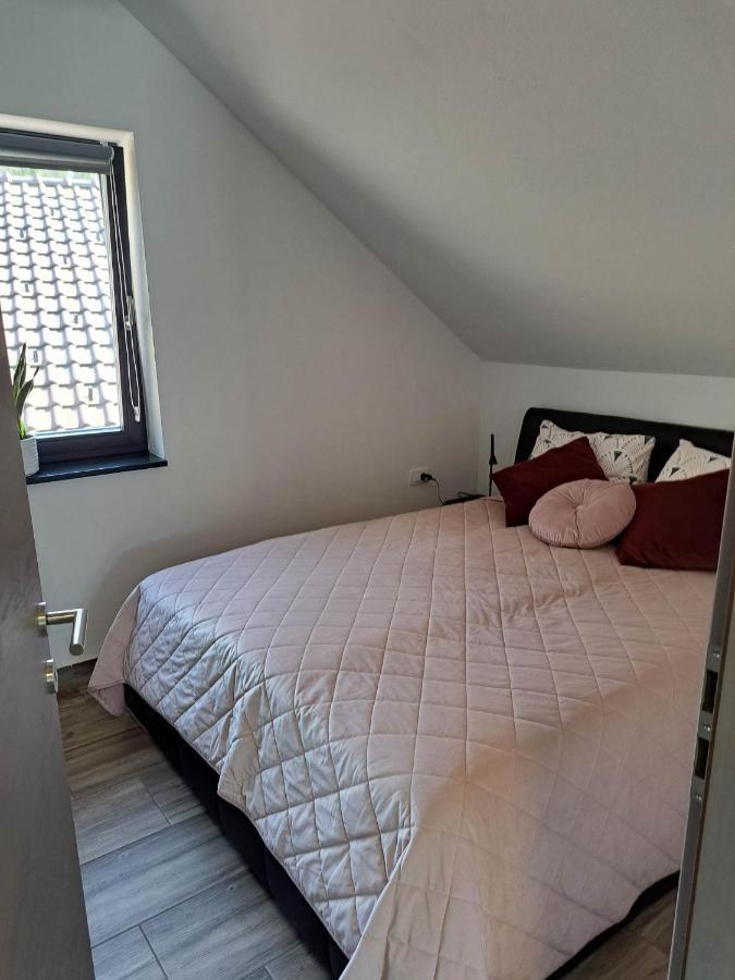 Apartmaji Tisa In Zana Rovte Dış mekan fotoğraf