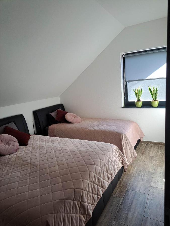 Apartmaji Tisa In Zana Rovte Dış mekan fotoğraf