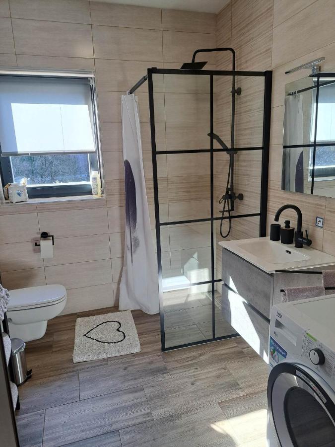Apartmaji Tisa In Zana Rovte Dış mekan fotoğraf