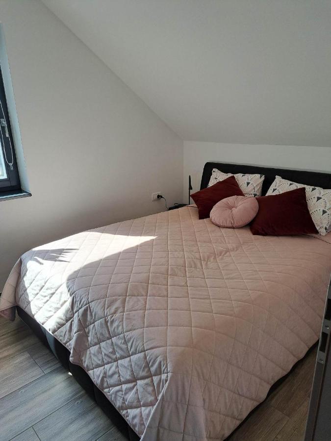 Apartmaji Tisa In Zana Rovte Dış mekan fotoğraf
